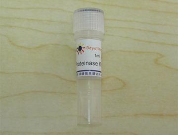 Proteinase K (20mg/ml)